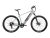 TELEFUNKEN E-mountainbike Klimmer M921 29" (29", Aluminiumgrijs)