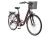 TELEFUNKEN E-bike City RC822 multitalent 28" (28", Wijnrood)